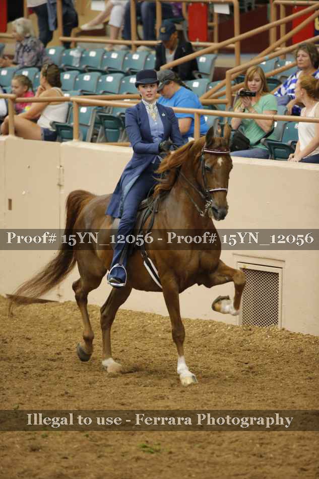Proof 15YN_12056