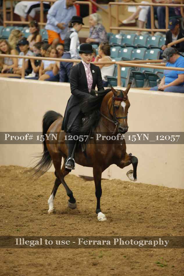 Proof 15YN_12057
