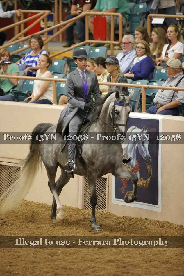 Proof 15YN_12058