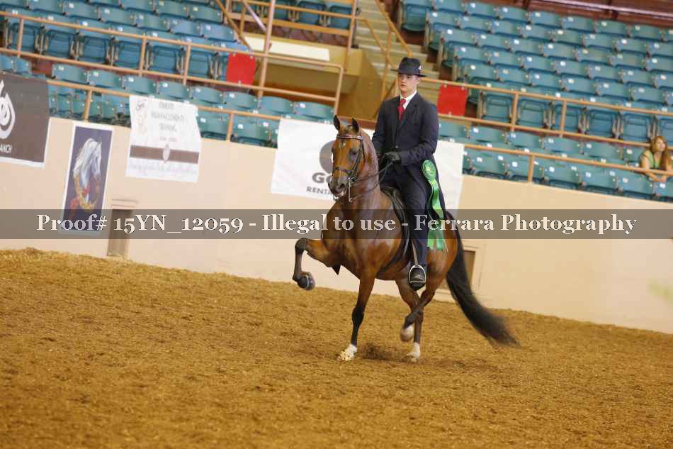 Proof 15YN_12059