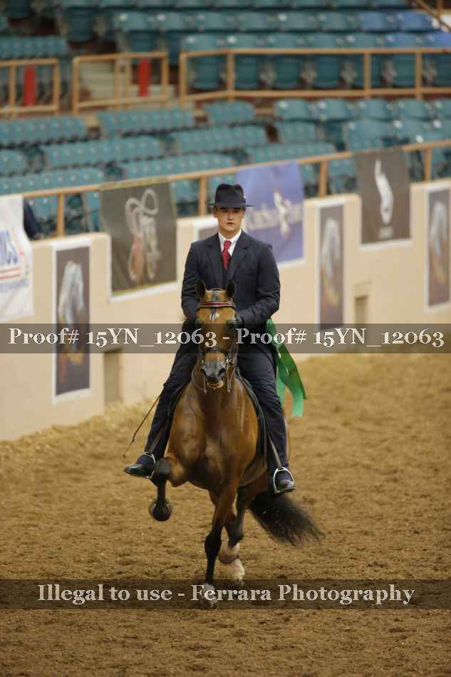 Proof 15YN_12063