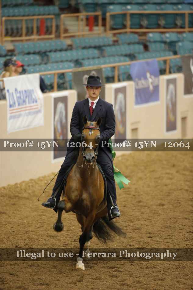 Proof 15YN_12064