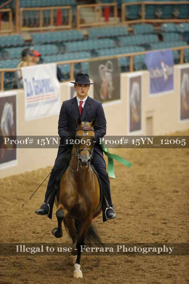 Proof 15YN_12065