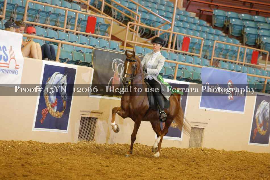 Proof 15YN_12066