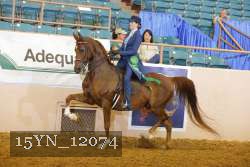 15YN_12074 proof