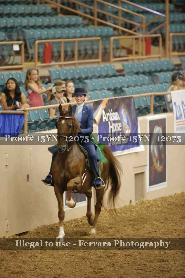 Proof 15YN_12075