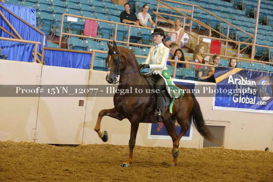 Proof 15YN_12077