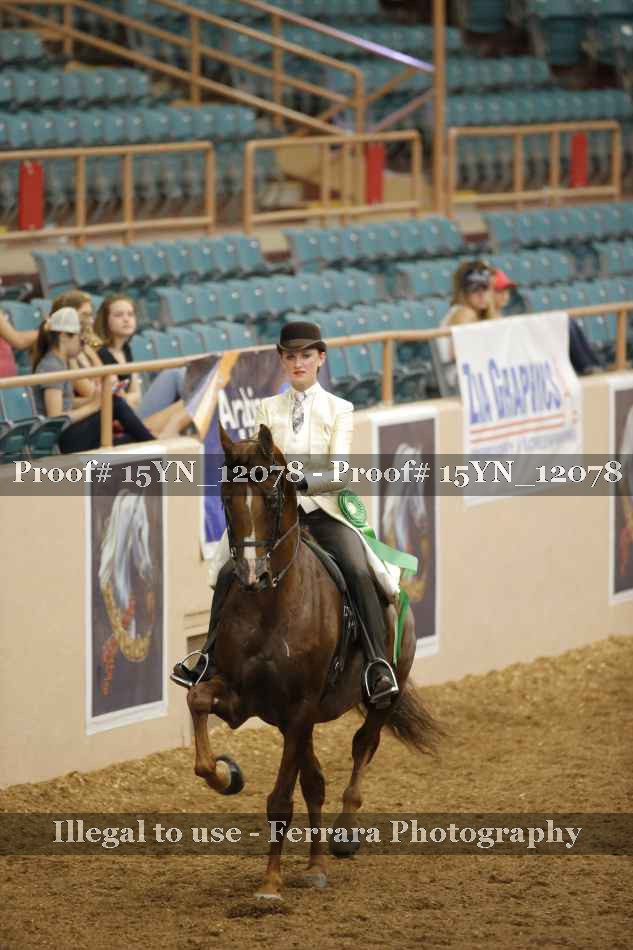 Proof 15YN_12078