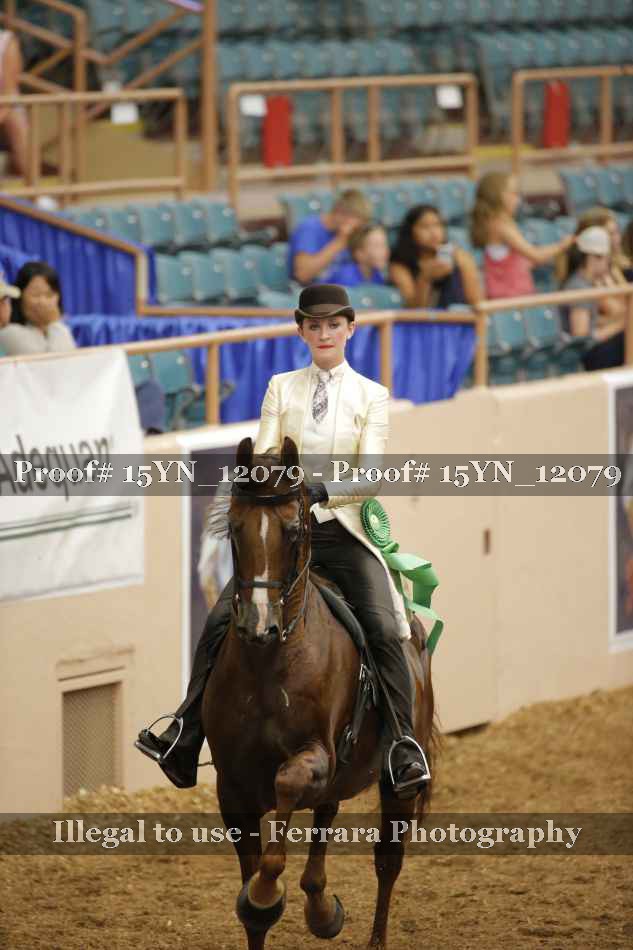 Proof 15YN_12079