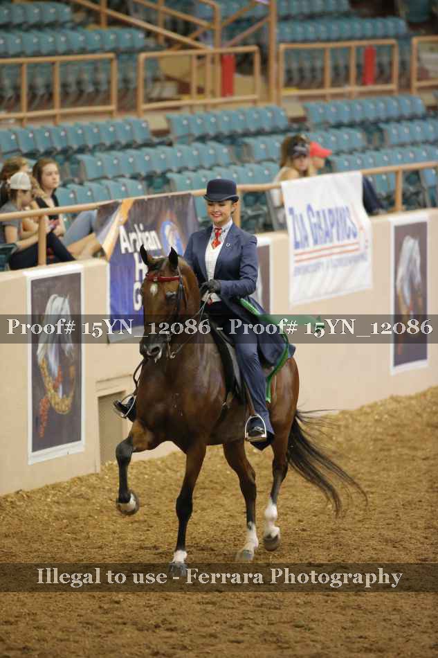 Proof 15YN_12086