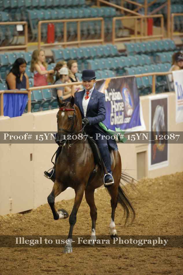 Proof 15YN_12087