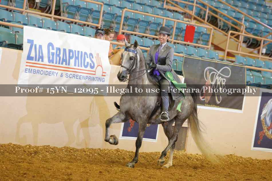 Proof 15YN_12095