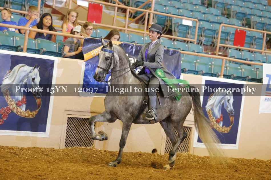 Proof 15YN_12097