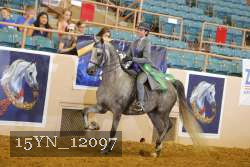 15YN_12097 proof