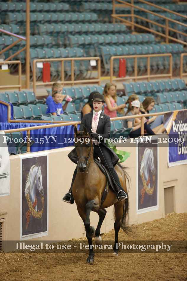 Proof 15YN_12099