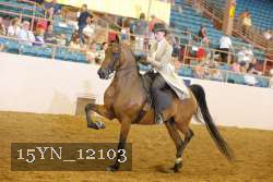 15YN_12103 proof