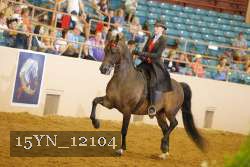15YN_12104 proof