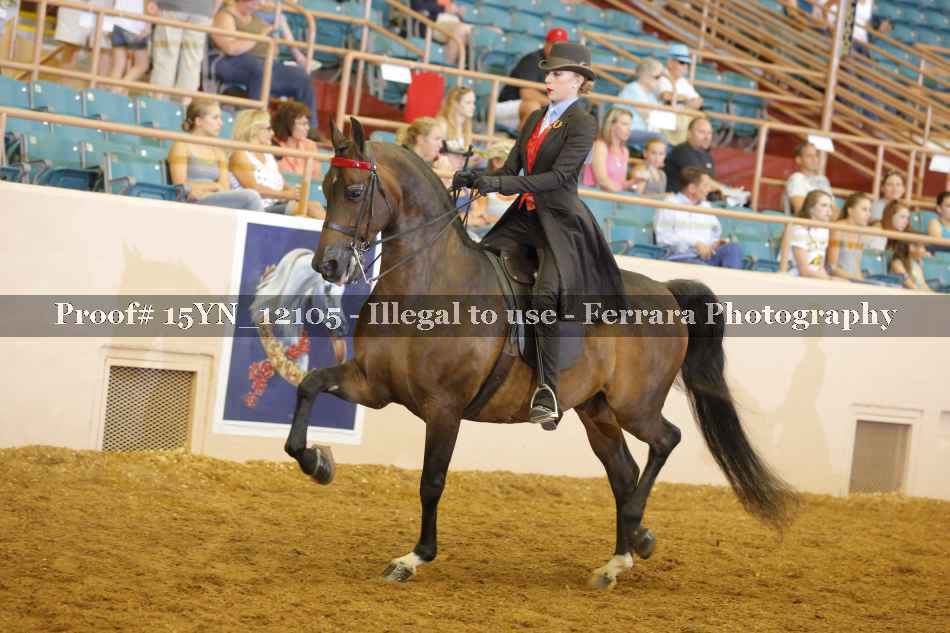 Proof 15YN_12105