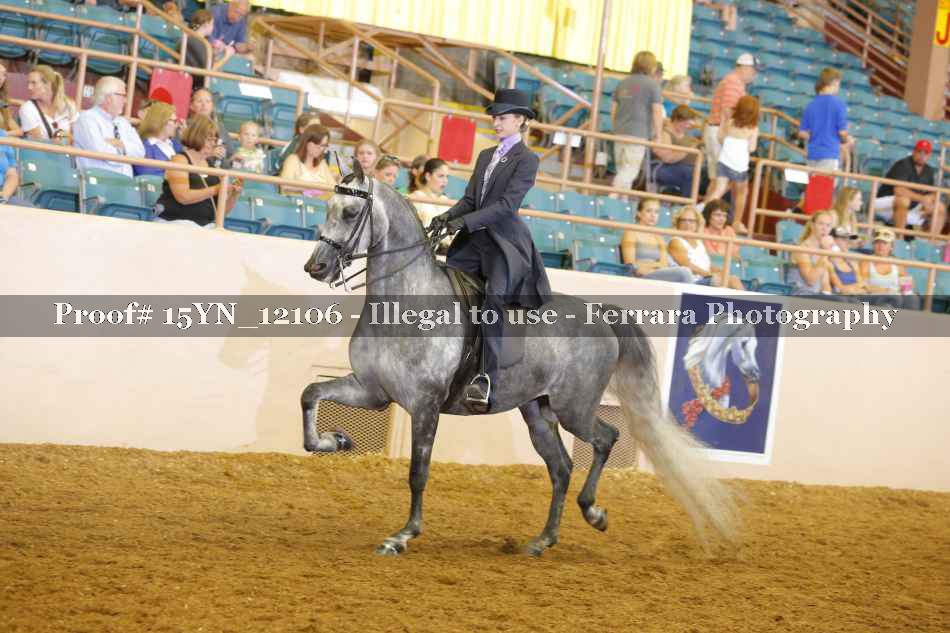 Proof 15YN_12106