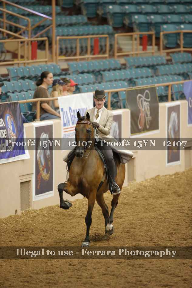 Proof 15YN_12107