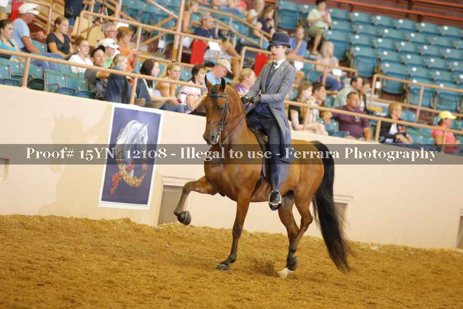 Proof 15YN_12108