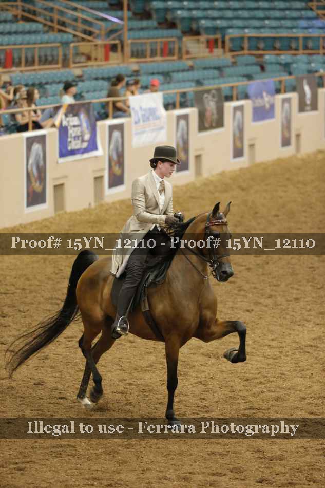 Proof 15YN_12110