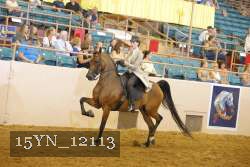 15YN_12113 proof