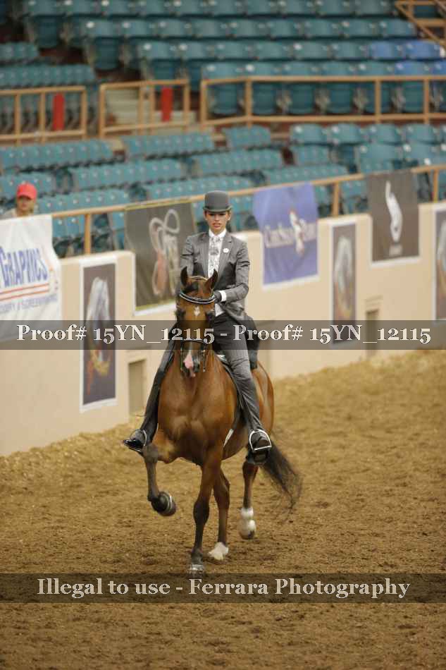 Proof 15YN_12115