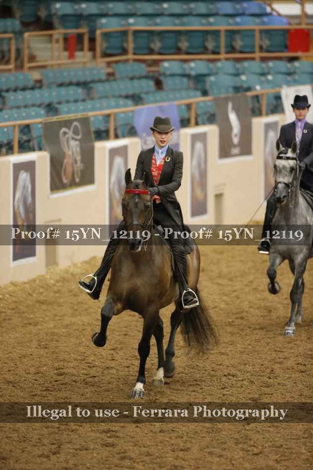 Proof 15YN_12119