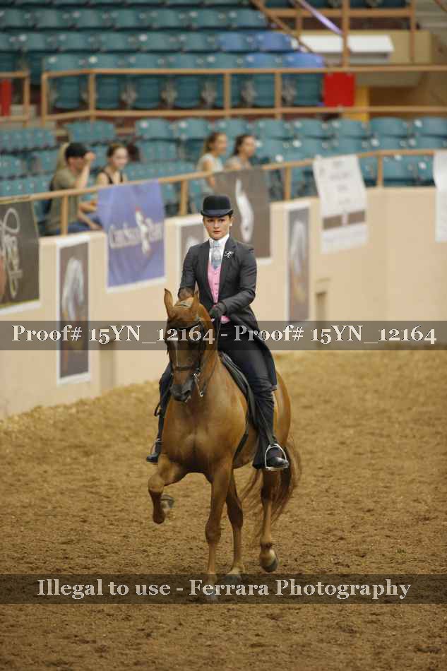 Proof 15YN_12164
