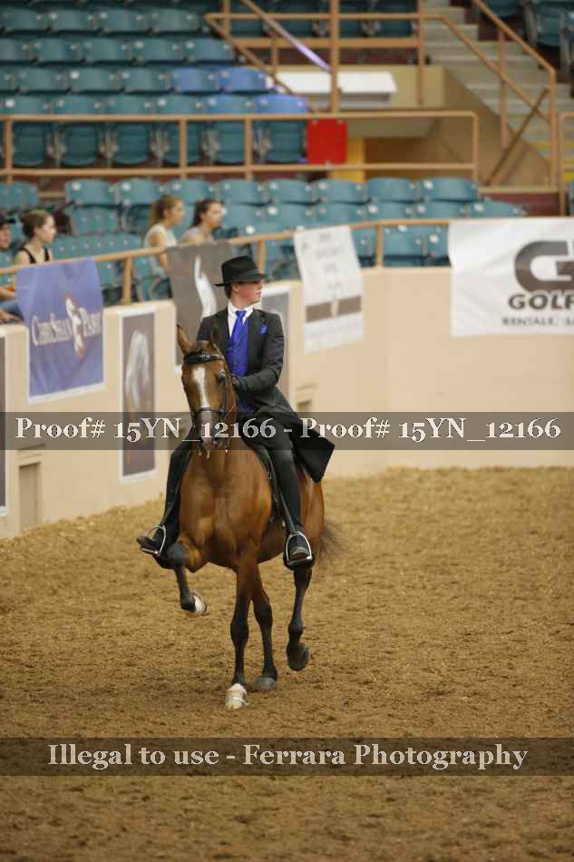 Proof 15YN_12166