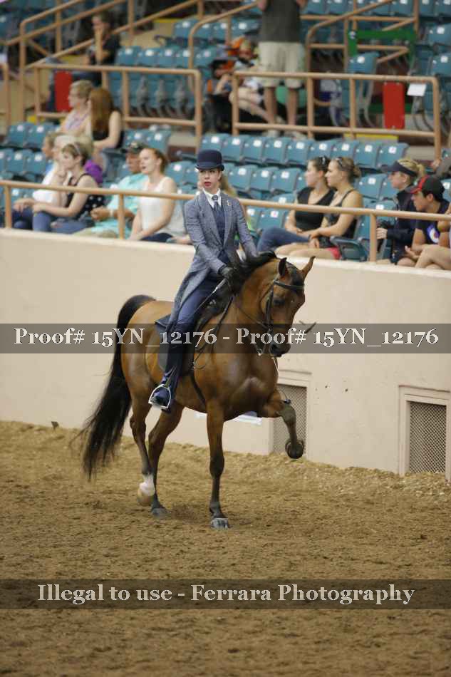 Proof 15YN_12176