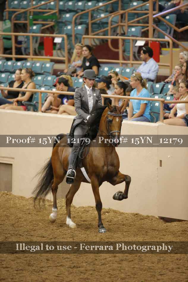Proof 15YN_12179