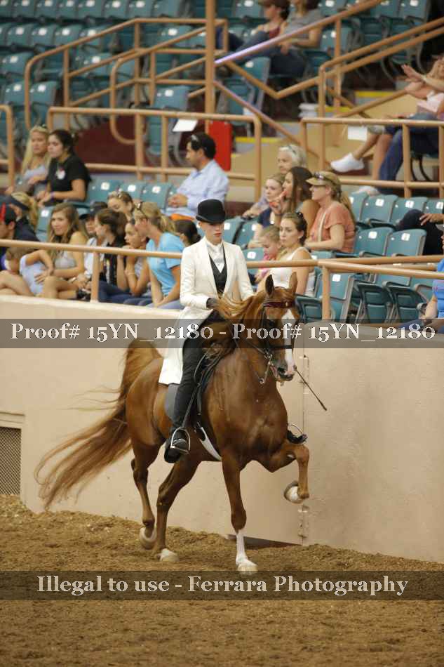 Proof 15YN_12180