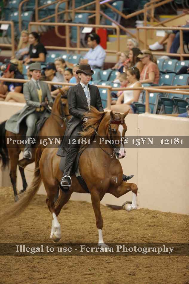 Proof 15YN_12181