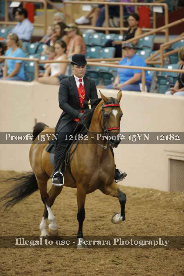 Proof 15YN_12182