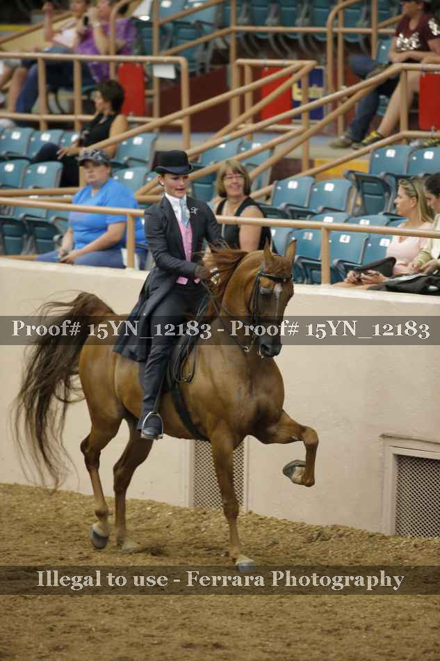 Proof 15YN_12183