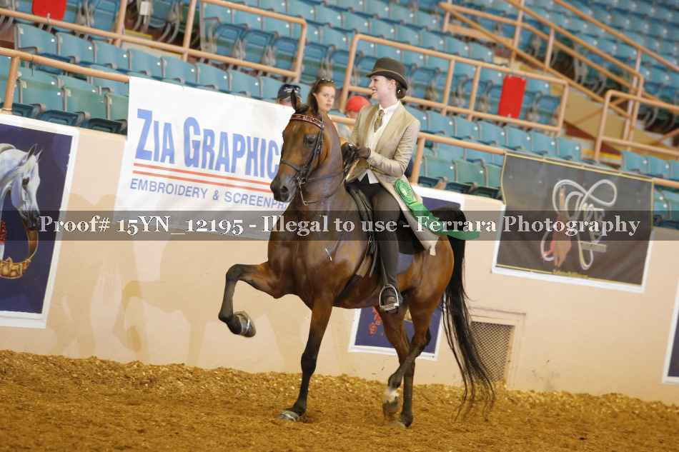 Proof 15YN_12195