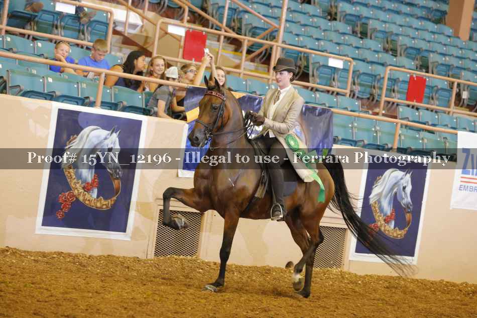 Proof 15YN_12196