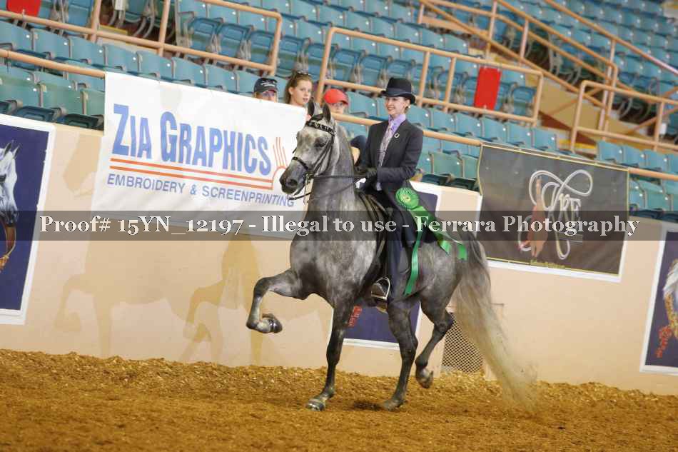 Proof 15YN_12197