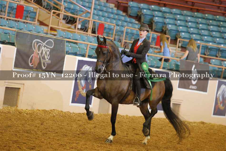 Proof 15YN_12206