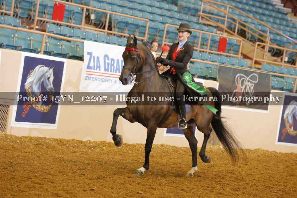 Proof 15YN_12207