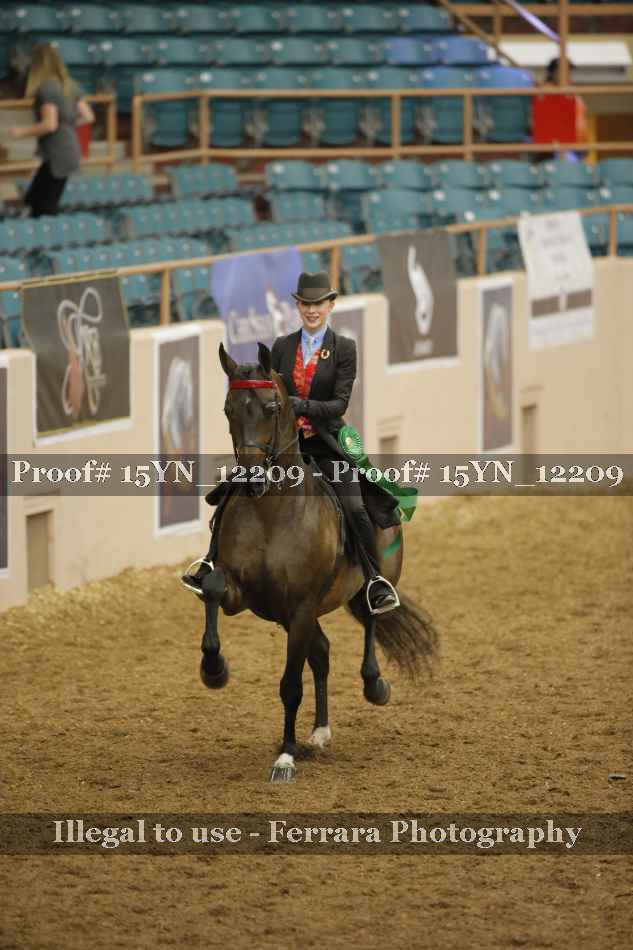 Proof 15YN_12209