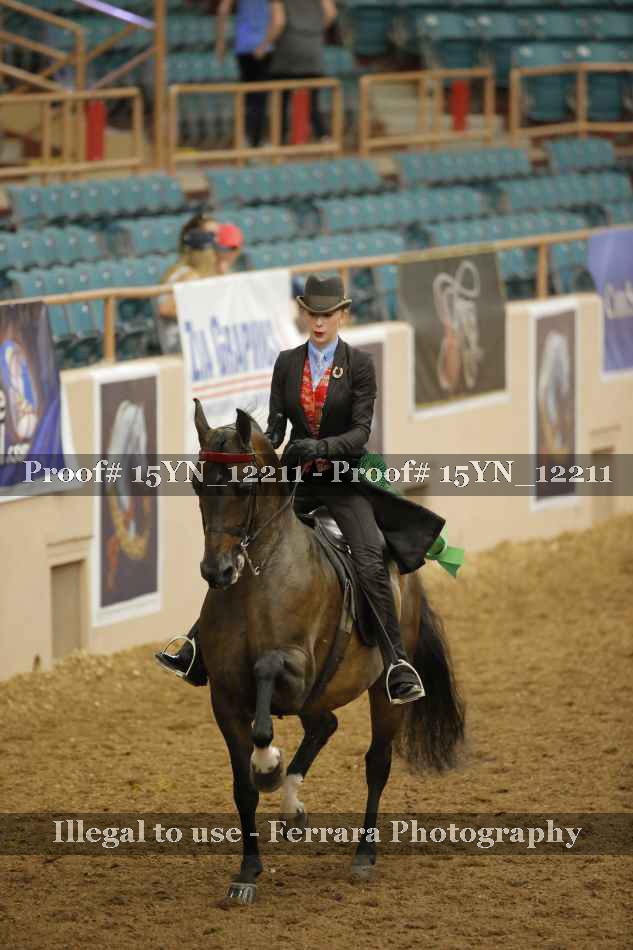 Proof 15YN_12211