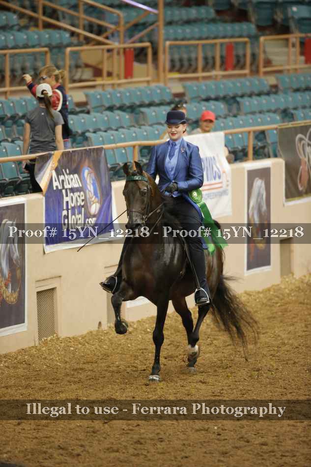 Proof 15YN_12218