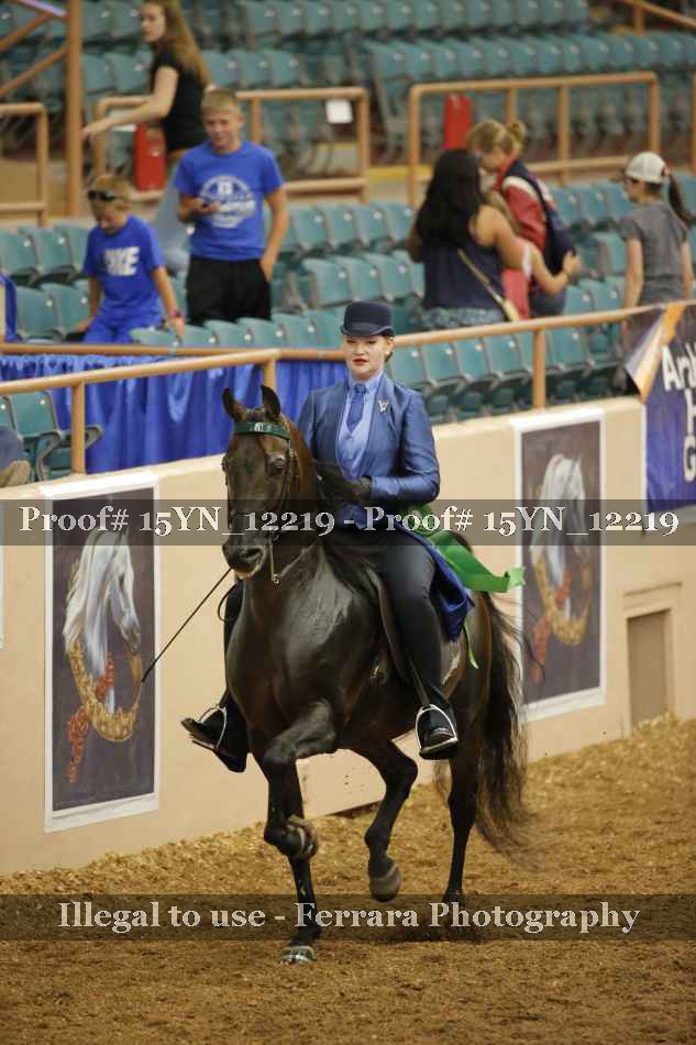 Proof 15YN_12219