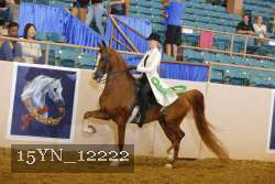 15YN_12222 proof