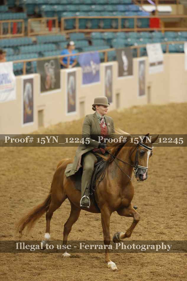 Proof 15YN_12245