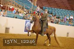 15YN_12246 proof