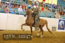15YN_12247 proof